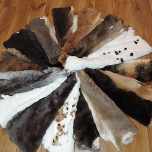 Puede incluir: Una colección de 15 pieles de conejo de diferentes colores, que van del marrón al blanco y al gris. Las pieles están dispuestas en círculo sobre un suelo de madera.