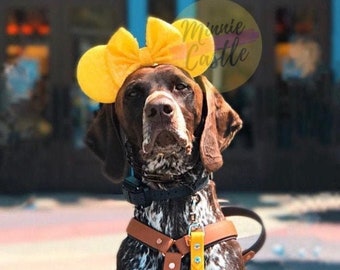 Micky Ohren für Hunde, Micky Ohren, Minnie Ohren, Maus Ohren Elastisches Stirnband, Micky Stirnband für Hunde, Haarschmuck für Hunde, Tierzubehör