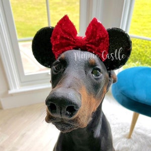 Mickey ears for dogs, Mickey ears, Dog Minnie ears, Mouse ears Elastic headband, Dog Mickey headband, Dog hair accessories, Pet accessories