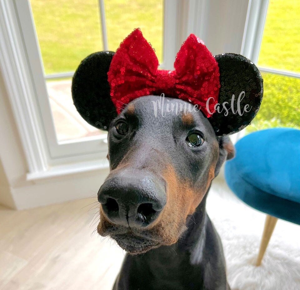 Minnie Mouse Ears Dog Etsy