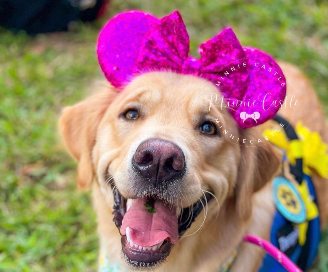 Minnie Ears, Mickey Ears for Dogs, Mickey Ears, Mouse Ears Elastic