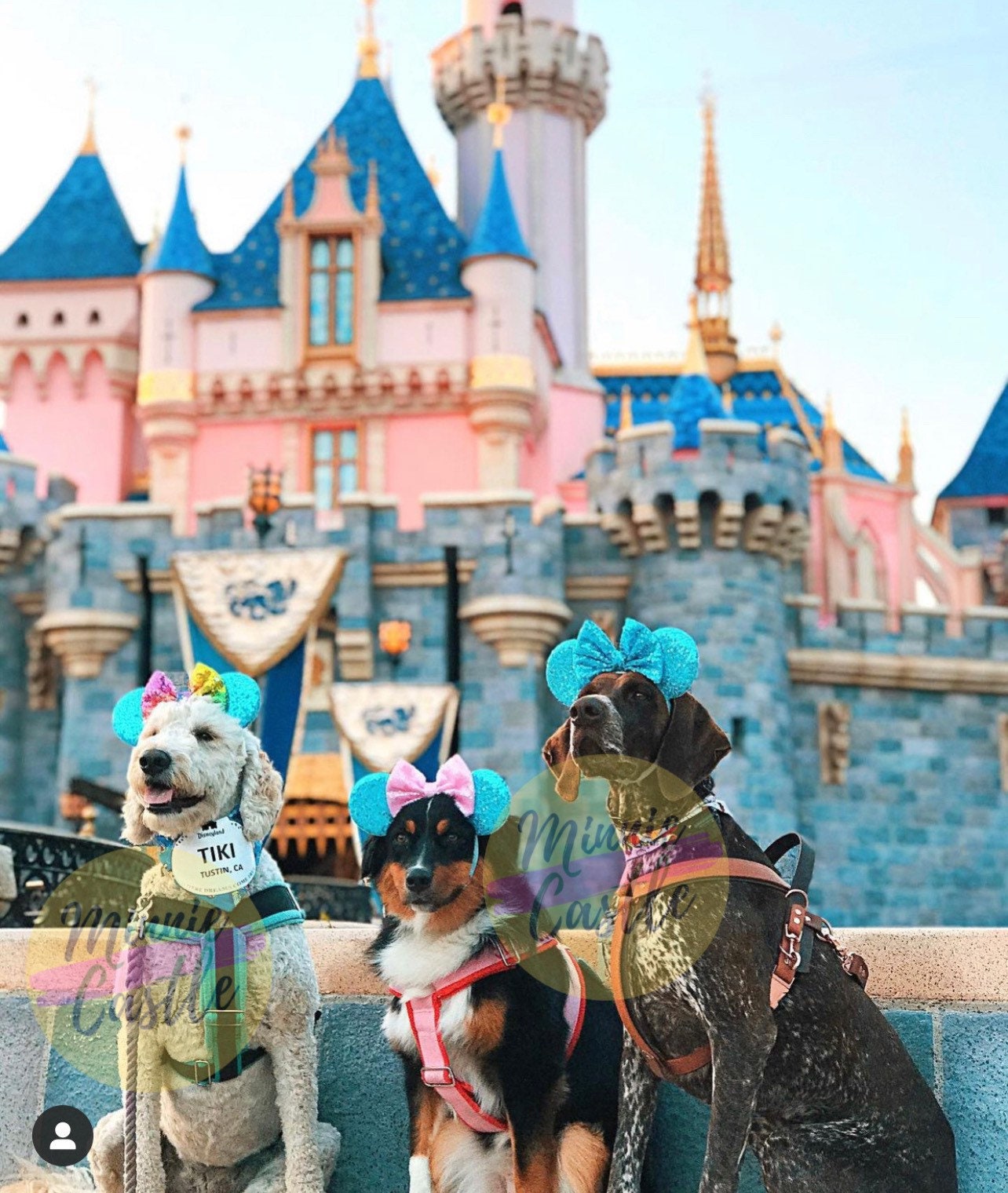 Are Dogs Allowed At Disney Land