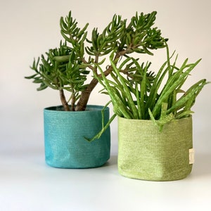 May include: Two potted plants in fabric planters. The plant on the left is a succulent with green leaves and a brown stem. The plant on the right is an aloe vera plant with green leaves. The planter on the left is teal blue and the planter on the right is green.
