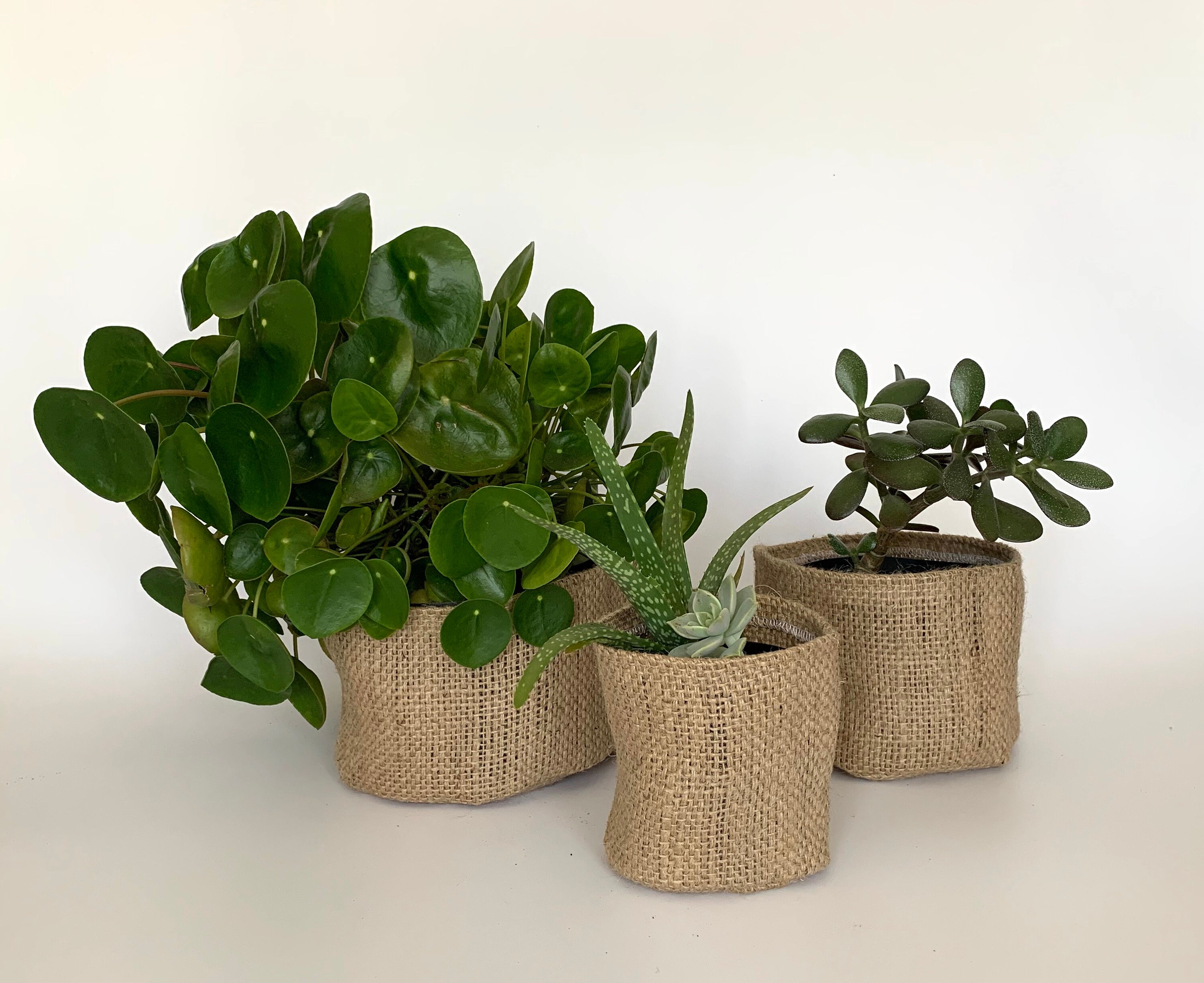 Altered Upcycled Hessian Pot Plant Covers / Hessian Coffee Etsy UK