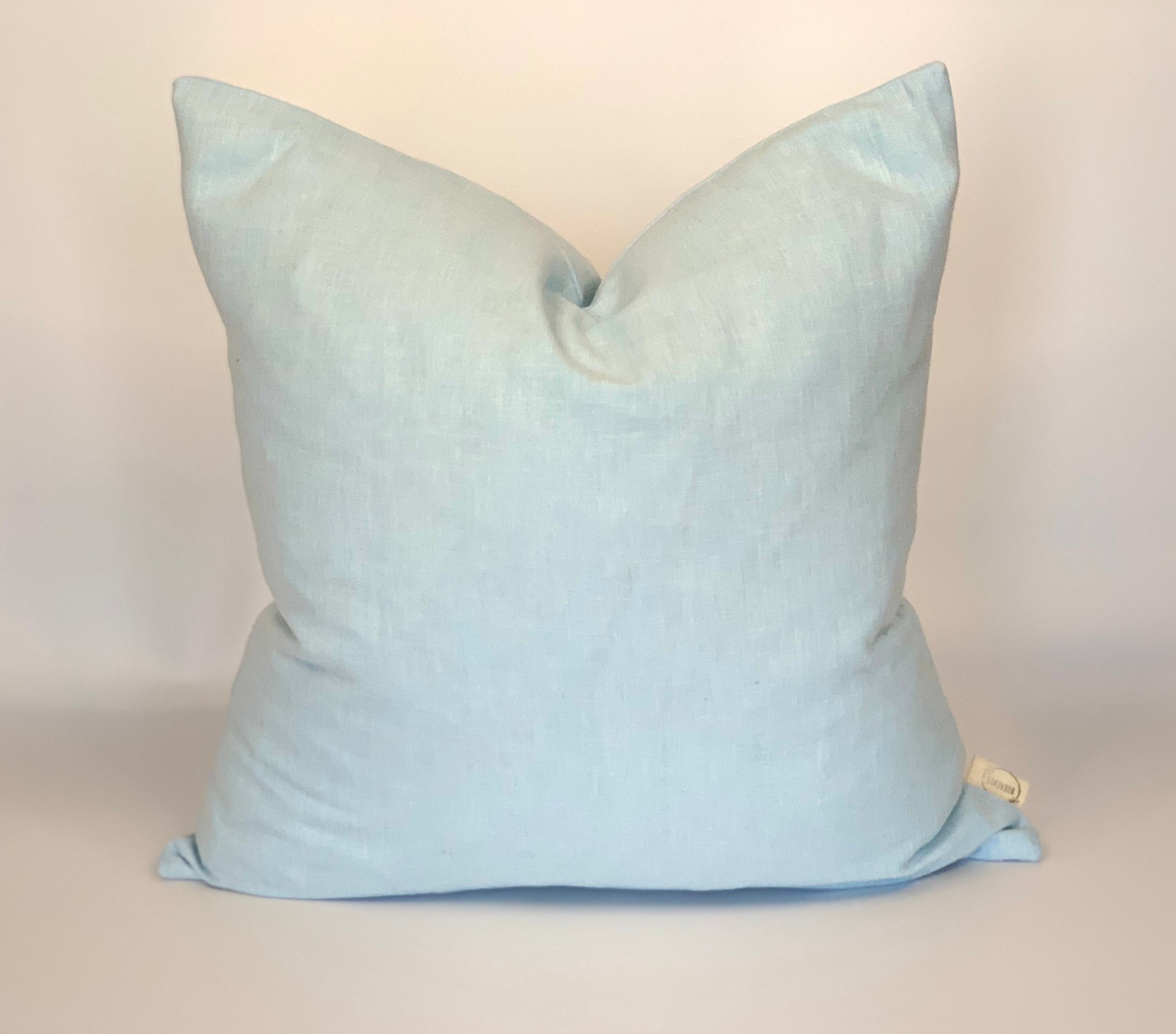 powder blue cushions