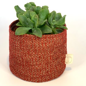 May include: A woven red and beige planter pot containing a green succulent plant. The cylindrical pot has a textured surface and a small tag attached. The plant has thick, rounded leaves.
