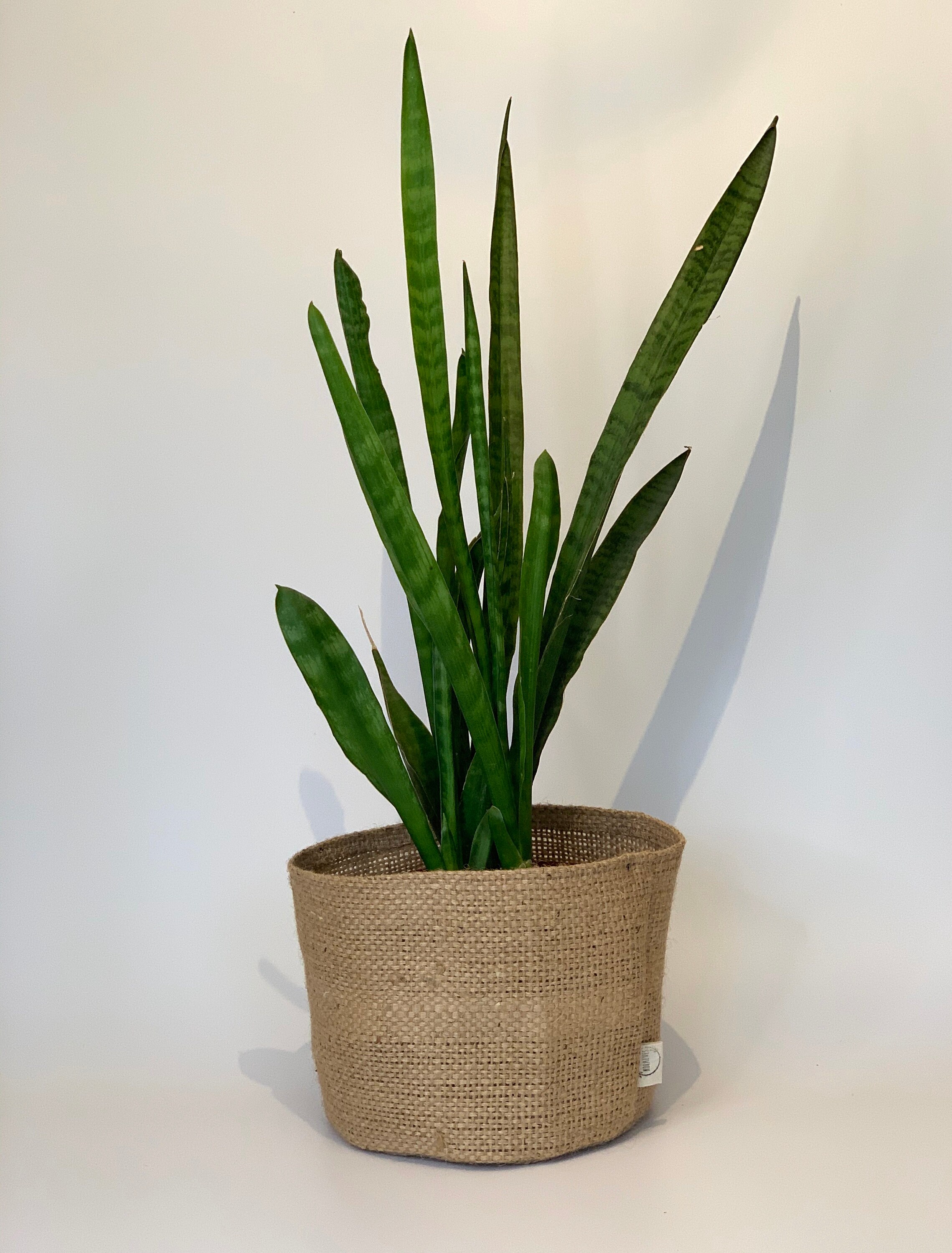 Altered Upcycled Hessian Pot Plant Covers / Hessian Coffee Etsy UK