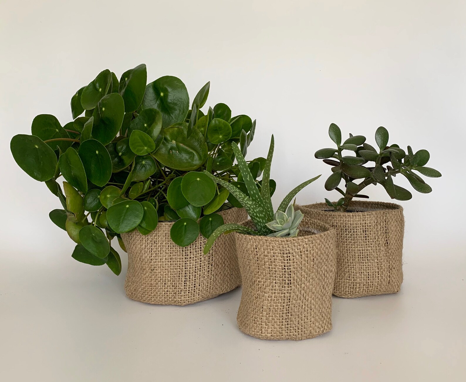 Altered Upcycled Hessian Pot Plant Covers / Hessian Coffee Etsy