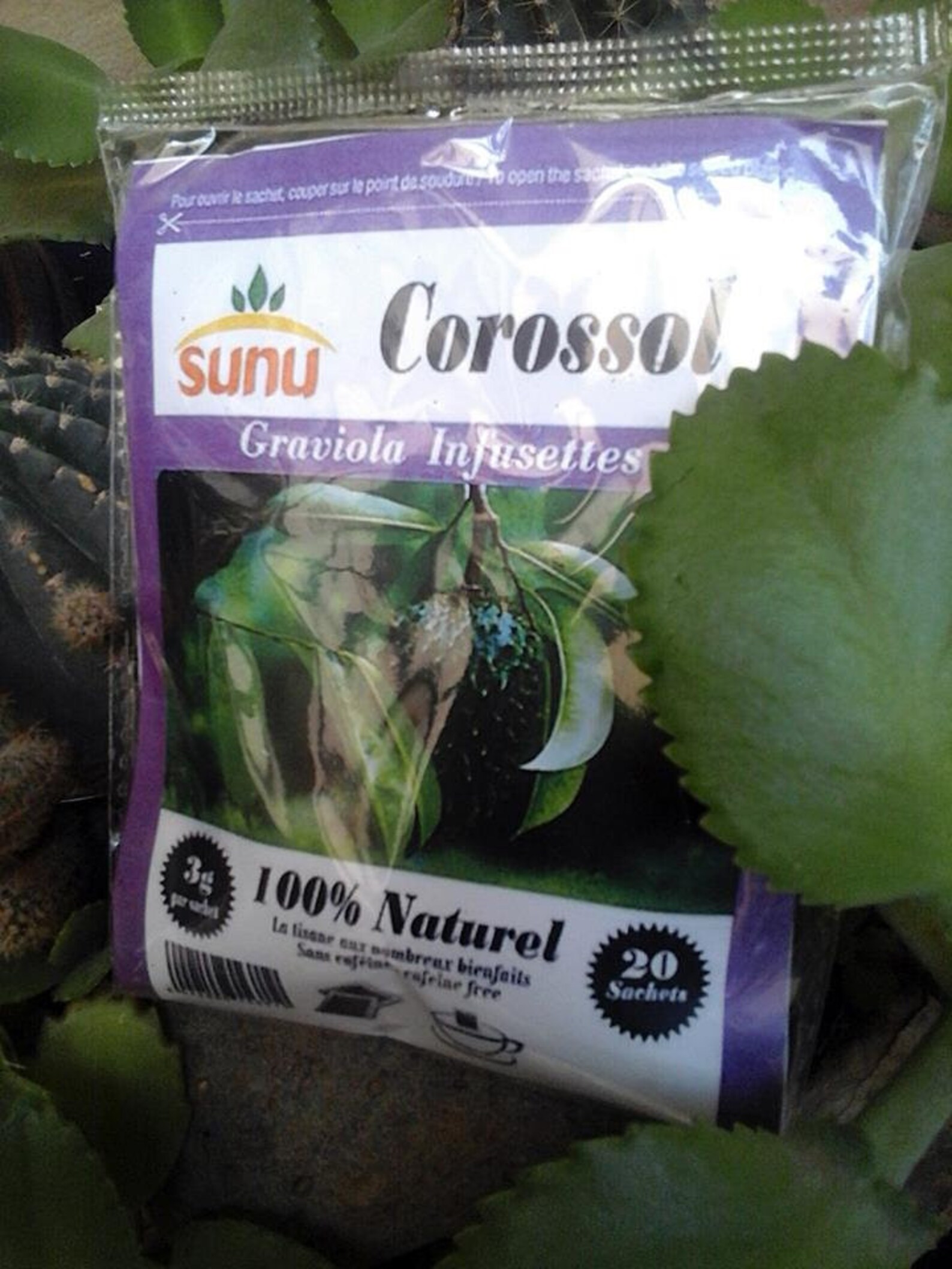 Dr Sebi Organic SOURSOP TEABAGS Aka GRAVIOLA Fairer Trade - Etsy