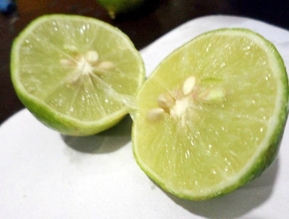 Non Gmo Seeds Lime Soursop Dates Watermelon Pepper 4 Etsy