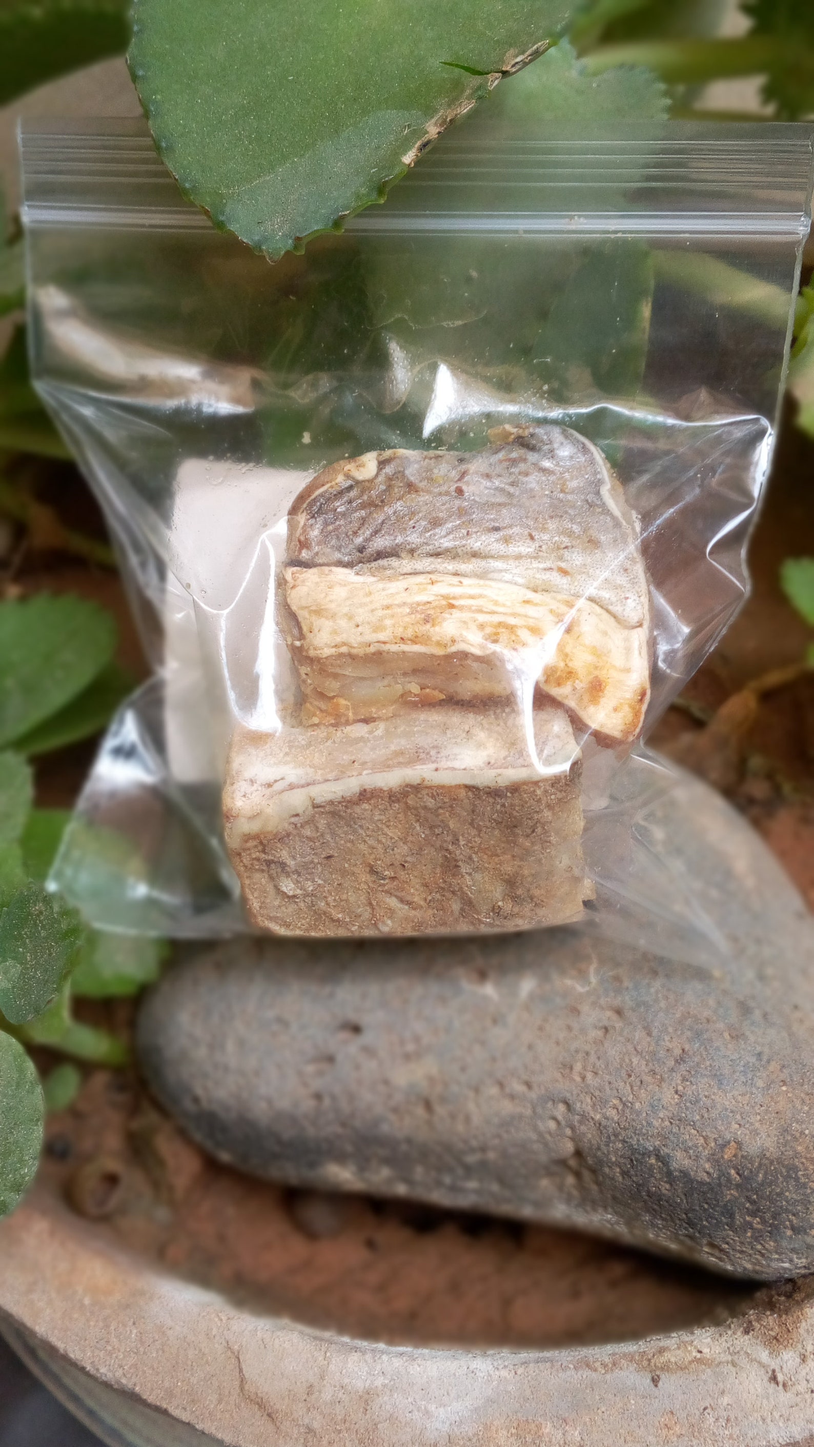 DRIED FISH Shrimp Yeet Crevette Guedj Touffe Kethiakh Etsy Canada