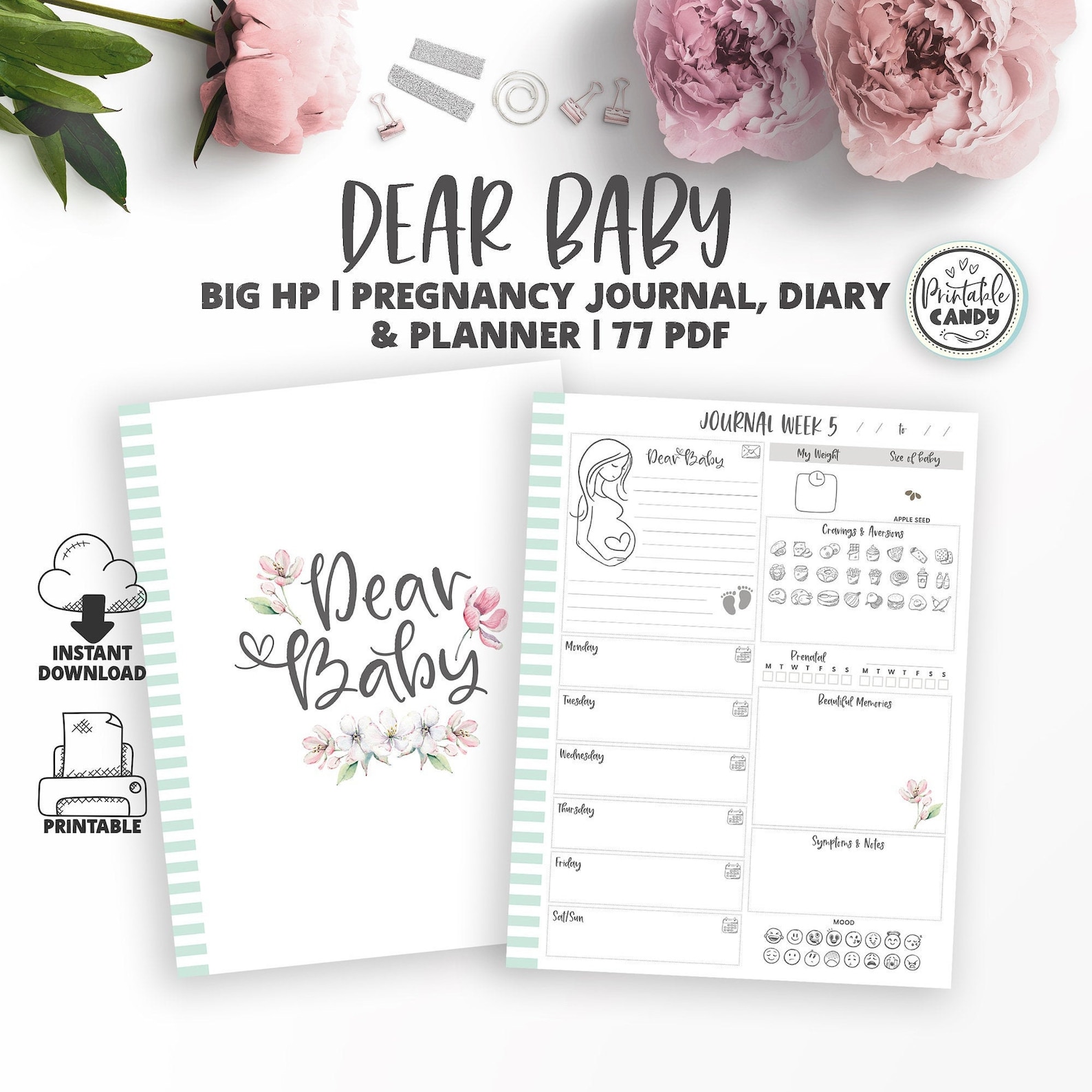 Weekly Pregnancy Journal Baby Journal Big HP Letter Size Etsy