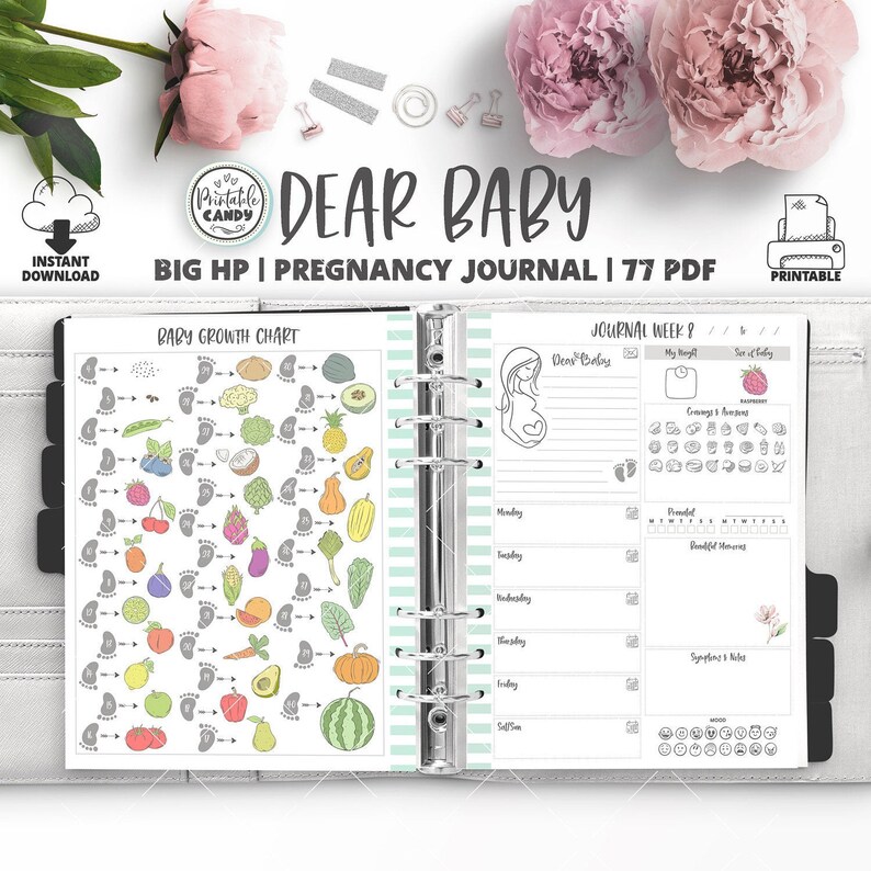 Weekly Pregnancy Journal Baby Journal Big HP Letter Size Etsy