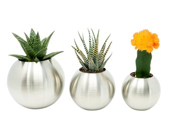 Stainless Steel Planters - Gold - Rose Gold - Polished - Black - Brushed - Minimalistic Design for Succulents, Cactus & Small Indoor Plants