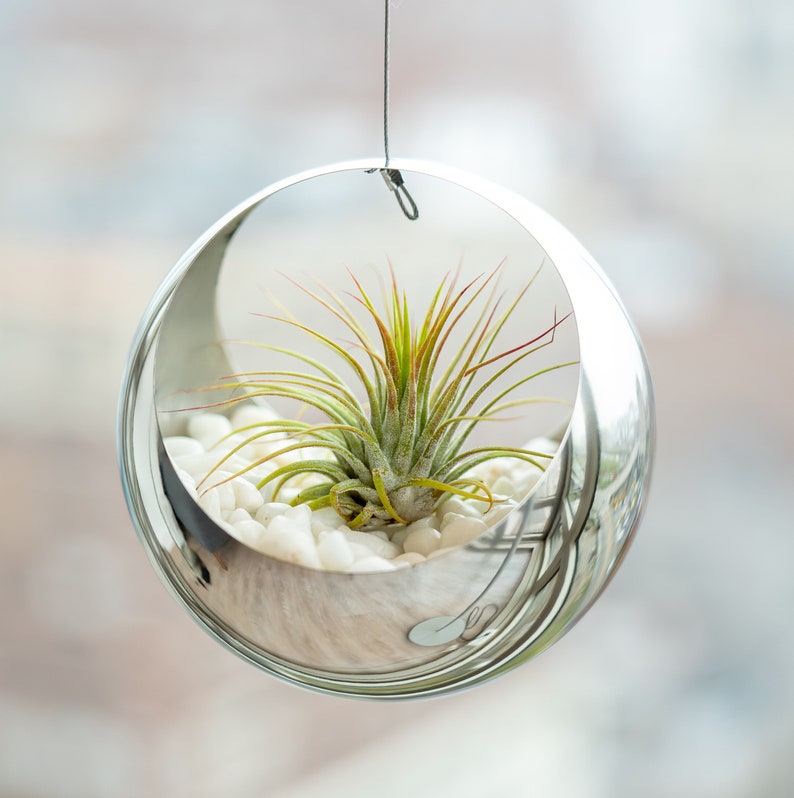Stainless Steel Hanging Planter Contemporary Sphere Pot for Etsy