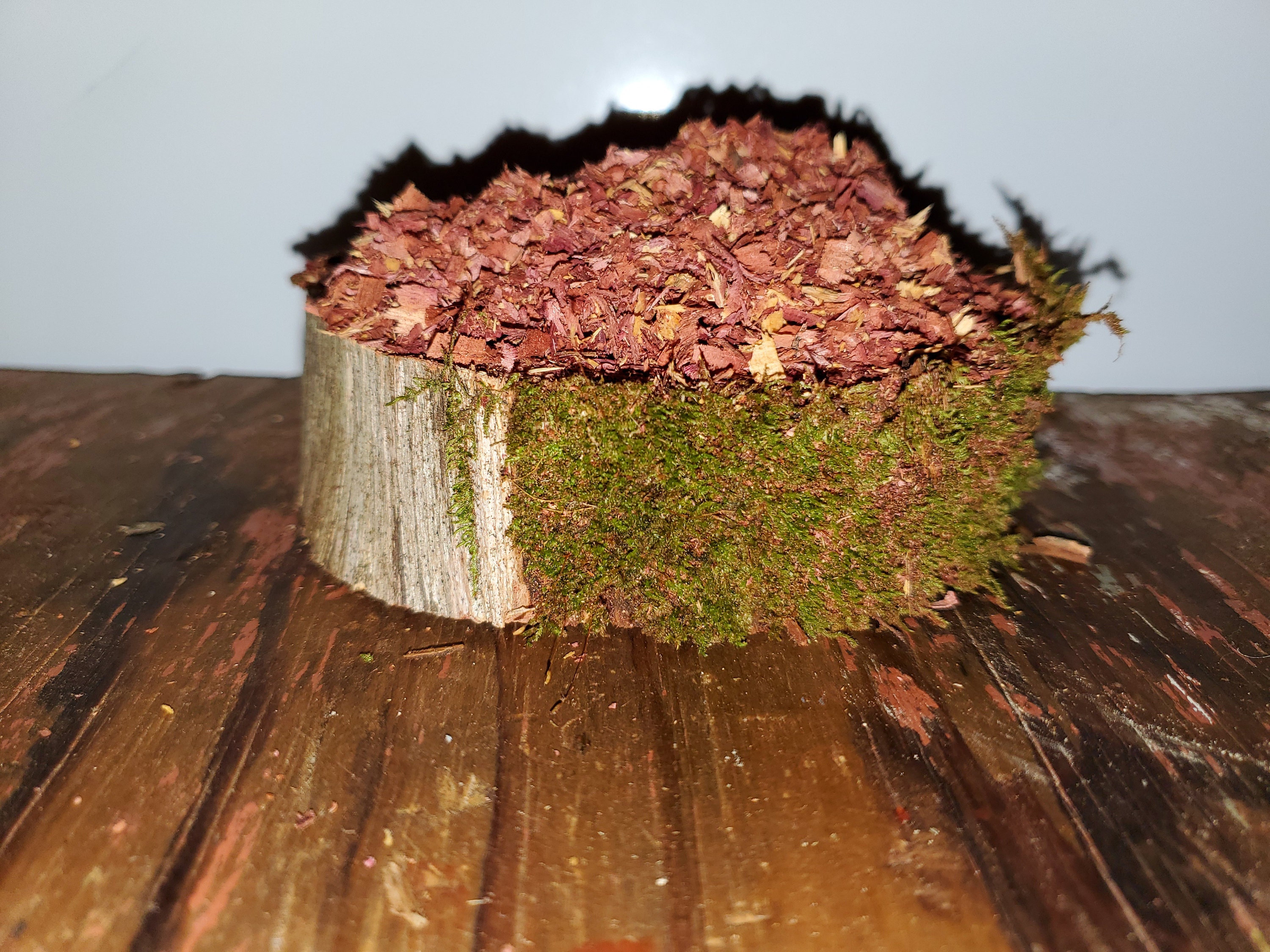 10 Best Cedar Wood Shavings for the Ultimate Scented Experience A