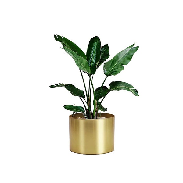Golden Metal Indoor Planter Pot 8"x6"