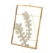 Folding Gold Brass Picture Frame 4'x6',5'x7',8x10,Glass Artwork Frame,Floating Frame,Herbarium Copper Glass Frame for Pressed Dried Flowers 