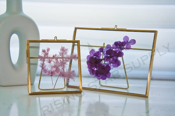 4x6 Picture Frames 6-Pk - Floating Frame Set for Table Numbers