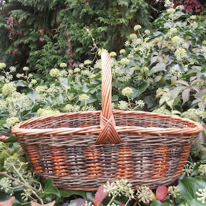 Champignonplukmand, boodschappenmand, mand met handvat, ovale mand, rieten mand