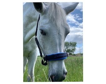 Noseband mit Name bestickt — Halfterschoner aus Fleece mit Klettverschluss zu schließen - Pony - Cob - Warmblut ein tolles Reitergeschenk