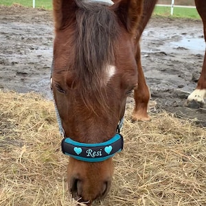 Noseband Name und Herzen Halfterschoner aus Fleece mit Klettverschluss Pony Cob Warmblut ein tolles Reitergeschenk Bild 1