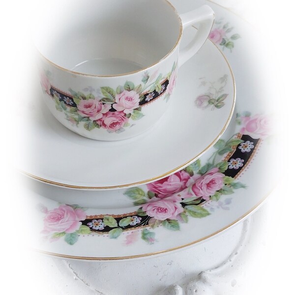 Alte Serie  Rosen Porzellan Kaffeegedeck um 1900-1910