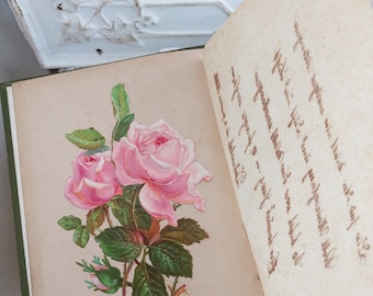 Von 1885 Antikes Poesiealbum Raum Detmold