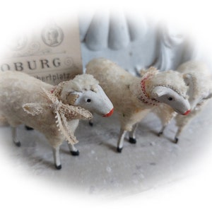 No5 antique RAR Trois moutons en laine Thuringe Allemagne Trude, Leni & Anton Schaf Sheep image 3