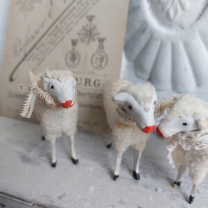 No5 antique RAR Trois moutons en laine Thuringe Allemagne Trude, Leni & Anton Schaf Sheep image 7