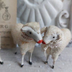 No5 antique RAR Trois moutons en laine Thuringe Allemagne Trude, Leni & Anton Schaf Sheep image 8