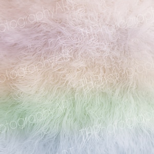 Newborn Digital Backdrop, Composite, Newborn Digital Background, Digital Prop, Fur, Flokati, Rainbow, Miracle, Boy, Girl