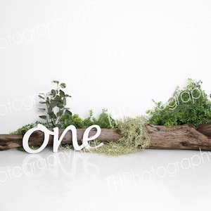 Baby Digital Backdrop, Composite, Digital Background, Photoshop, 1st Birthday, Cake Smash, Woods, One, Milestone, Sitter, Boy, Girl