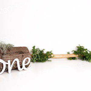 Baby Digital Backdrop, Composite, Digital Background, Photoshop, 1st Birthday, Cake Smash, Woods, One, Milestone, Sitter, Boy, Girl