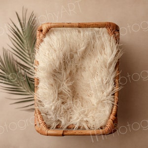 Newborn Digital Backdrop, Composite, Newborn Digital Background, Digital Prop, Rattan Boho bed, Palm, Cream, Neutral, Boy, Girl, Download