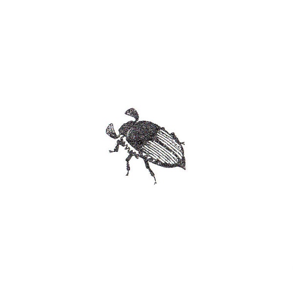 Stamp MIDI Maybug Insect