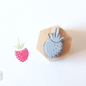 Stempel MIDI Himbeere Obst Bild 3