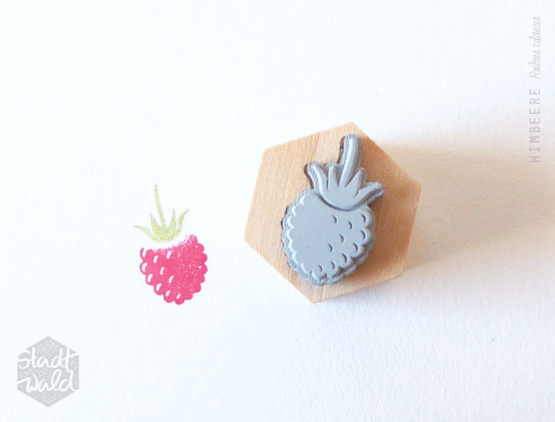 Stempel MIDI Himbeere Obst Bild 3