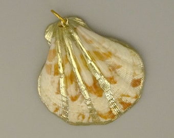 Vergoldeter Muschelanhänger  -  gold plated shell pendant