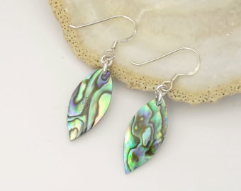 Paua earrings - Abalone earrings - Paua shell earrings