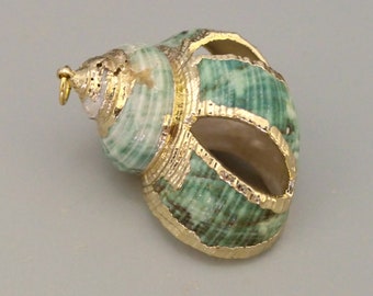 Vergoldeter Muschelanhänger  -  gold-plated shell pendant