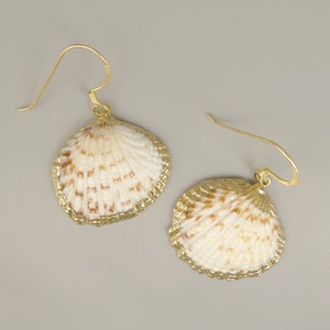 May include: A pair of gold-toned earrings featuring a seashell design. The seashells are white with brown markings and have a gold-toned trim.