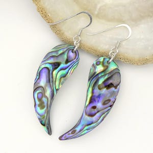 May include: A pair of dangle earrings featuring curved, teardrop-shaped abalone shell pendants with iridescent swirls of blue, green, and purple. The pendants are attached to silver-toned metal fishhook wires that allow for movement.