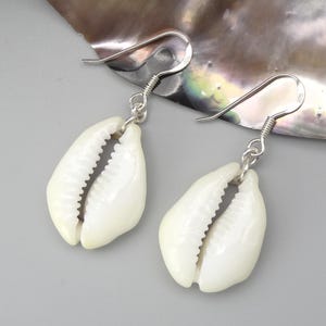 May include: A pair of dangle earrings featuring white cowrie shells suspended from silver-toned metal fishhook wires. The shells have a smooth, glossy finish with a central serrated opening, and the metal hooks include a small coiled detail.
