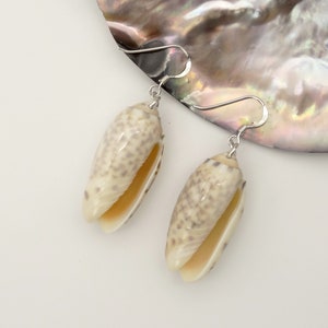 Pode incluir: Um par de brincos de prata com um design de concha natural. As conchas são de cor bege claro com manchas marrons e estão presas a ganchos de prata.