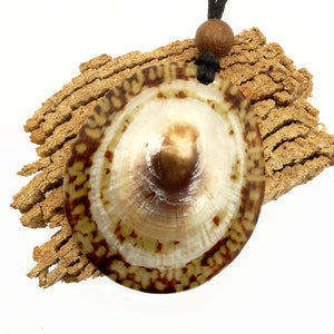 Shell necklace shell necklace image 1