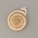 see more listings in the shell pendants section