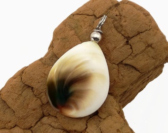 Operculum Anhänger - Shiva Eye,Katzenauge  -  operculum pendant - shiva eye pendant