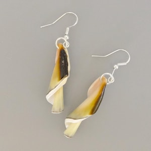 Muschel Ohrhänger  - shell earrings