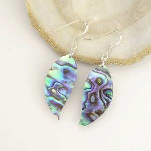 Paua earrings - Abalone earrings - Paua shell earrings